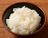並ライス Regular Rice（横浜家系ラーメン白楽家）