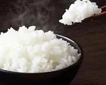 ライス(中盛り)（手打ちそば 志喜千庵）