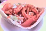 ドネルカバブ/Doner Kebab（デリーマハル）