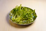 豆苗 (豆苗) pea sprouts 15g（美人麻辣烫～北池袋店～）