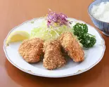 ヒレカツ定食（キュリードシゲール）