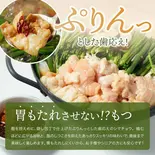 カンテイポウ醤油もつ鍋2～3人前（炭火焼肉と韓国料理カンテイポウ）