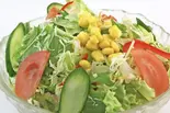 グリーンサラダ GREEN SALAD（インド アジアン ダイニング プルニマ）