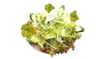 ✦グリーンサラダ Green Salad（ハーサキッチン）