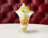 銀座フルーツパフェ キウイ(キウイソース)（銀座フルーツ宝石箱(フルーツパフェ Beef Stew)）