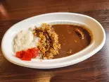 カレー 並(やまだん家)