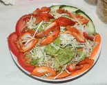 チキンサラダ Chicken Salad(インドネパール料理ファミリーキッチン)