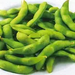 枝豆 Edamame（MALIKA井土ヶ谷店）