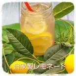 自家製レモネード（Cafehilomana）