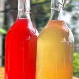 本日のクラフトコンブチャ 200ml（Shiki地水火風空）