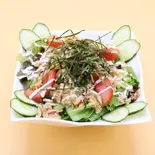 パパイヤサラダ Papaya Salad(ヒマンス HIMANSU Indian Restaurant and Bar)