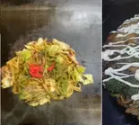 豚玉+豚キムチ焼きそば（お好み焼きフジ）