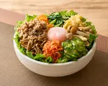極うま牛プルコギと7種類のナムルビビンバ（野菜食人ビビンバ専門店 大久保本店）
