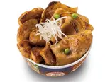 ハーフ＆ハーフ丼〈肉特盛〉Half-and-Half Bowl Extra Large（元祖豚丼屋TONTON新開地）