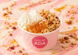 ヨーグルトADAシグニチャーコンボ Yoajung Signature Combo 요아정 시그니처 콤보（アサイーボウル＆ヨーグルトアイス専門店）