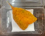アジフライ（おかん家）
