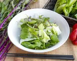 10種のグリーンサラダ Green Salad with 10 Types of Vegetables(八百屋&Cafe はっぴ〜べじたぶる)
