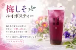 【復活】梅しそルイボスティー(令日茶屋 川崎店)
