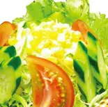 【 403 】グリーンサラダ Green Salad（インドとアジアの料理 サンティ）