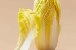 はくさい(50g) / 白菜（小谷姐姐 マーラータン(森ノ宮店)）