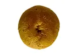 ほうじ茶（Gluten-Free Bagels ＆ Salad efu）