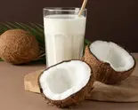 ココナッツミルク Coconut Milk（スターケバブインドカレーハラル専門店）