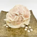 肉たっぷりシウマイ（あいねぇ〜）