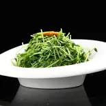 ニンニク入りとうみょう炒め【蒜蓉豆苗】(中国東北家郷料理永利 豊洲駅前店(1号店))