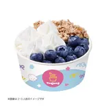 ブルーベリーコンボBlueberry Combo 1人前（Yoajung高田馬場店）
