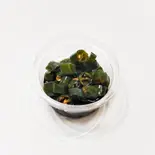 ヤバ辛青唐辛子醤油漬け（からあげ元気亭東府中店）