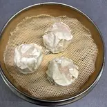 自家製燒卖3個（鴻運食房）
