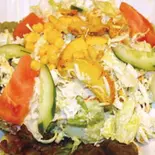 【 402 】チキンサラダ Chicken Salad（インドとアジアの料理 サンティ）