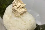 クリームチーズおかか「フィラデルフィアスタイル！！！」（「おむすび おにぎり」シイナノゴハン (肉巻きおむすび 豚汁 生姜焼き ハンバーグ)）