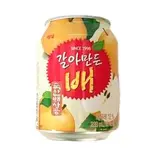 梨 カラマンドュペンAsian Pear Karaman Dupen（アリランホットドック 浅草）