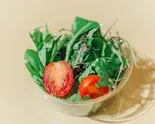 ミニサラダ~和風玉ねぎドレッシング~(海南鶏飯本舗)