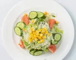 グリーンサラダ/Green salada（RAINBOW）