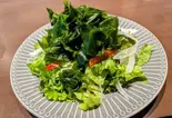 本日のサラダ（BE/ICHI手作り創作料理 ビイチ）
