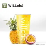 パッションパイナップルフルーツティー(百香金凤梨)（WILLcha 神戸元町店）