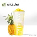 パイナップルフルーツシャーベット(多肉金凤梨)（WILLcha 神戸元町店）