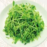 豆苗炒め 炒豆苗（台湾料理 金彩）