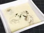ヨーグルト水餃子 Chaozu of yogurt source(シュシュバラック)（本格的シリア料理 ゼノビア）