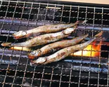 樺太ししゃもの炙り焼（横濱魚萬 新横浜店）