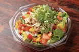 しっとり鶏胸肉とパクチーのアジアンエスニックサラダ（ヘルシー＆パワーサラダ サラダ大学 住吉校）