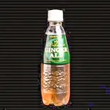 ジンジャエール(ペットボトル)（割烹焼肉 花火）
