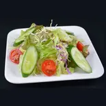 グリーンサラダ Green Salad（MANASLU）