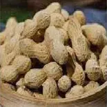 LẠC LUỘC ゆで落花生（ベトナム料理BIEN XANH QUAN）