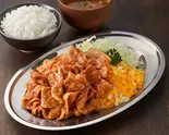 味噌とんたまダブル(ご飯付き) Miso Grilled Pork ＆ Egg Set Meal（とんたま食堂）
