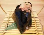 ネギトロ（おにぎり屋 おなかすいた。）