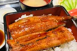 うなぎの蒲焼丼（八海丸）