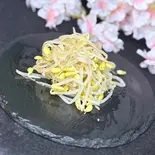 豆もやしナムル / 콩나물무침（韓国料理DARBIT 長居店）